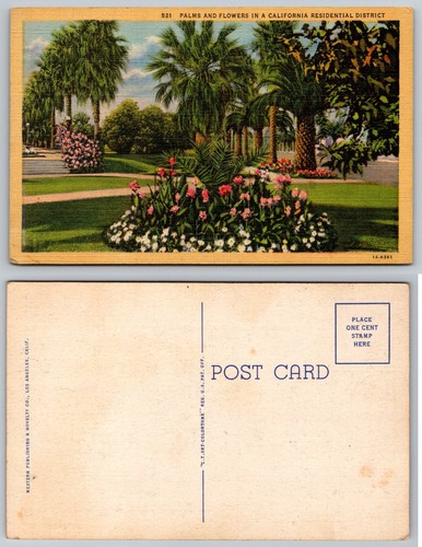 Vintage linen postcard - postcard, palms
