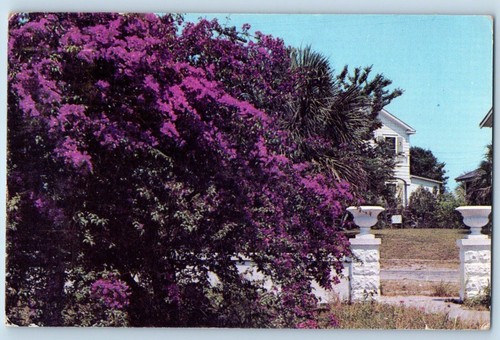 Daytona florida postcard - fl,