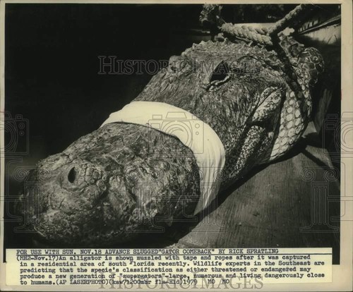 1979 press photo muzzled - 1979,