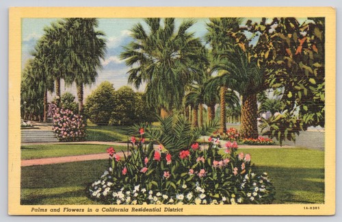 Western publishing palms and - publishing,