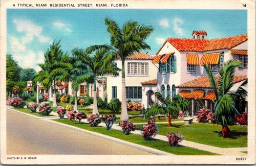 Vintage miami florida postcard - vintage,