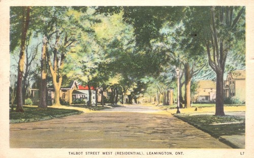 Vintage postcard 1950 talbot - vintage, 1950's