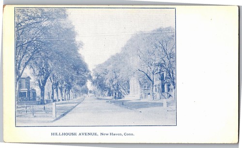 Hillhouse avenue new - avenue, haven