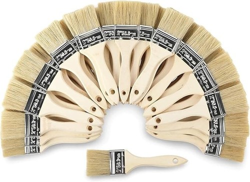 Chip paint brushes - 20, 5