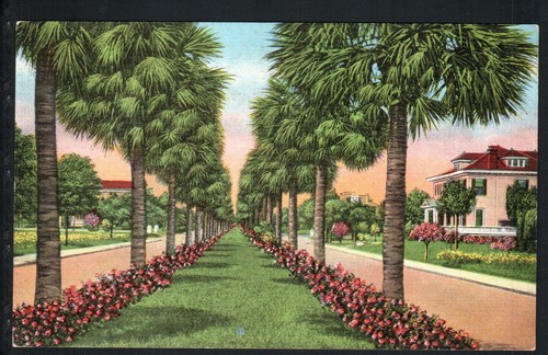 Savannah thunderbolt ga - thunderbolt,, *